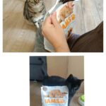 Iams Trockenfutter