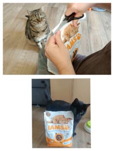 Iams Trockenfutter